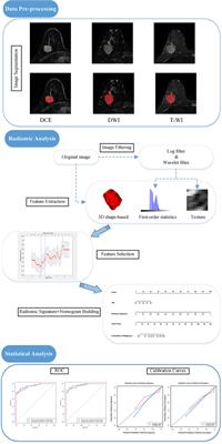 An MRI-Based Radiomics Model for Predicting the Benignity and Malignancy of BI-RADS 4 Breast Lesions